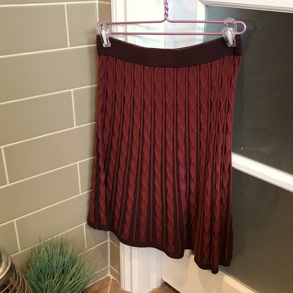 Gorgeous Knit A-Line Skirt